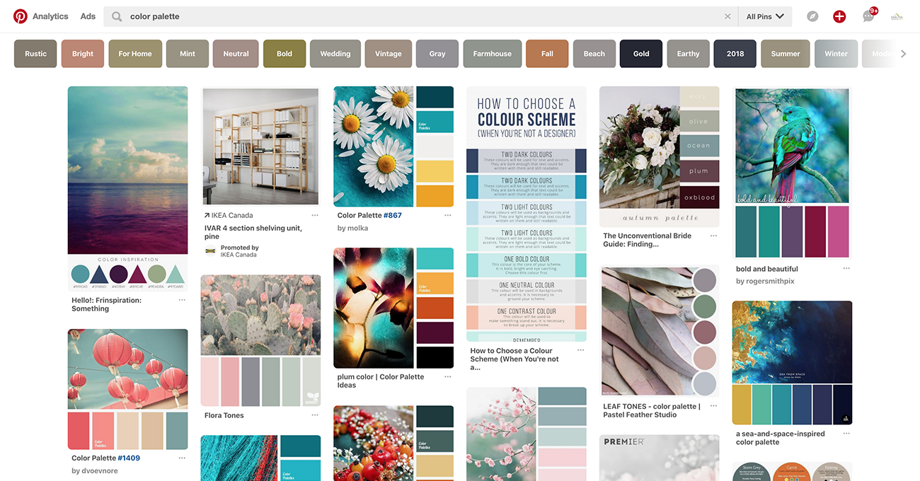 Pinterest tool for creating perfect colour palettes